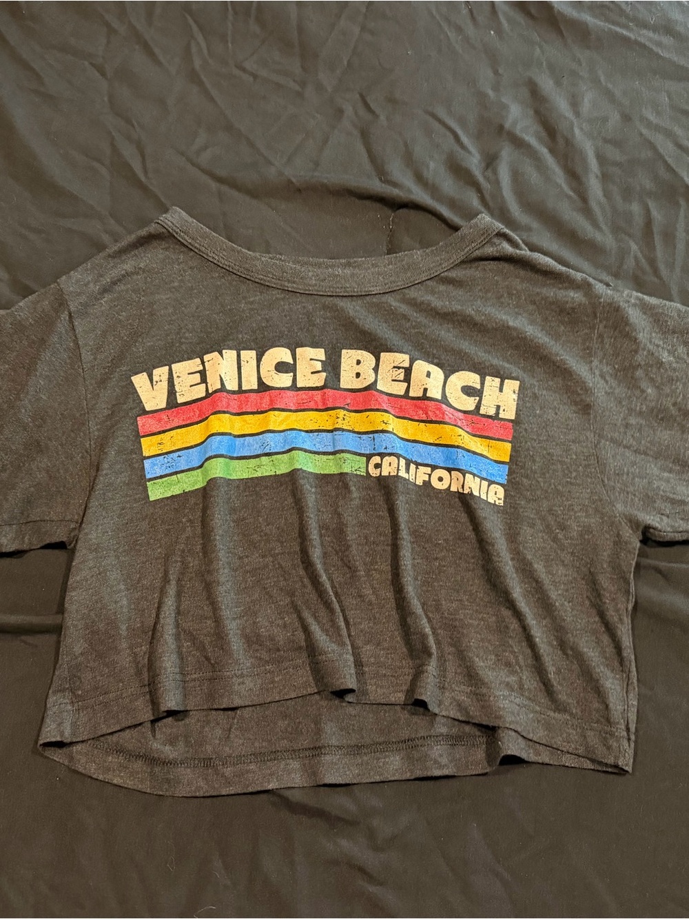 American Apparel Black Venice Beach Crop Tee with Retro Stripes